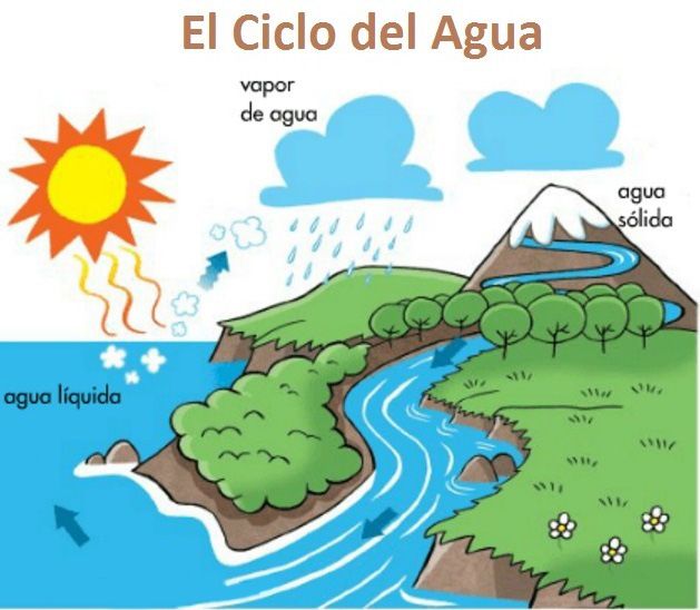 Ciclo Del Agua Explicación Fácil Y Ejemplos Mi Apunte Escolar 5747