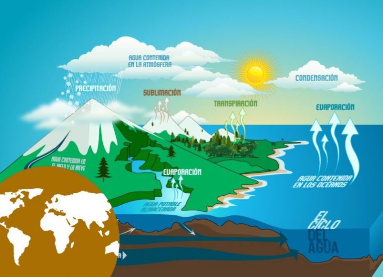 Ciclos Biogeoquímicos: Explicación Y Ejemplos - Mi Apunte Escolar